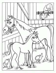Kleurplaat Paard